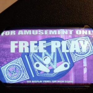 WWE WrestleMania Glowing Instruction Card Kit- EL Panel mod