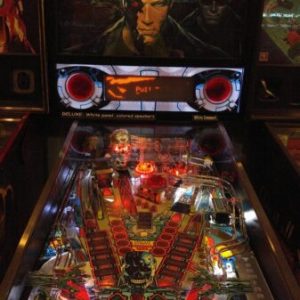 Terminator 2: Judgment Day Ultimate Lighted Speaker Panel
