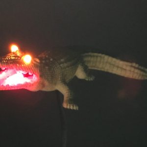 The Addams Family TAF Pinball Machine ALLIGATOR LED Mod