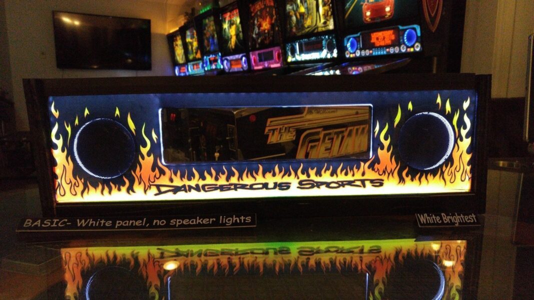 No Fear Dangerous Sports NF - Lighted Pinball LED Speaker Panel - BASIC
