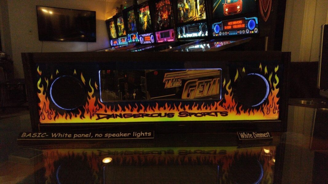 No Fear Dangerous Sports NF - Lighted Pinball LED Speaker Panel - BASIC - Image 3