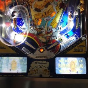White Water Pinball EL Panel
