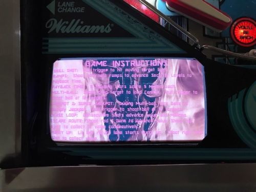 Terminator 2 Pinball EL Panel