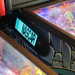 NASCAR pinball hinges