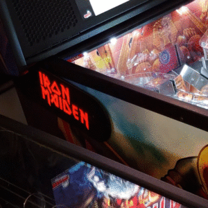Iron Maiden custom Pinball Hinges