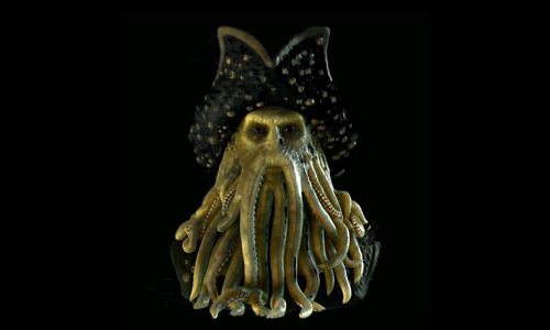 Pirates of the Caribbean Pinball Machine Hologram Topper - Image 7